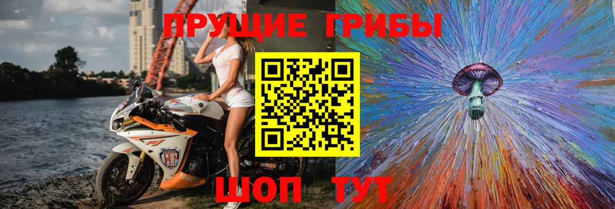 Узловая  Псилоцибиновые грибы прущие грибы  Псилоцибиновые грибы мицелий  Вход с VPN 